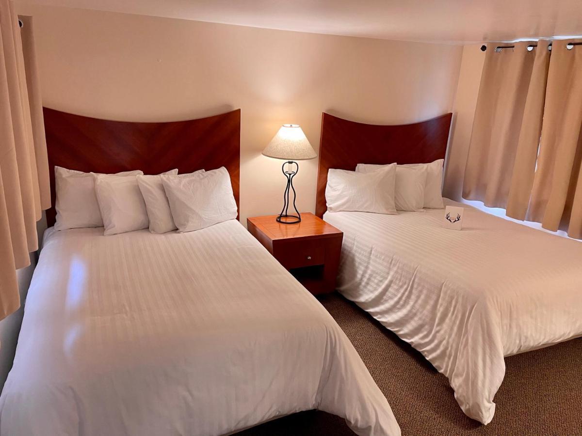 Whitetail Creek Resort Lead Ngoại thất bức ảnh